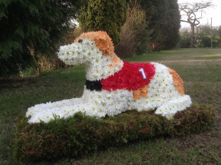 Lying Down Greyhound Dog 3D by C W Mottram Funeral Services Limited