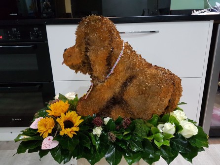 Waffle the Wonder Dog by Jo at Jo Goodey Floral & Sympathy Tributes
