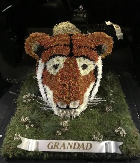 43-2-tiger-by-cheryl-at-faiths-florist-
