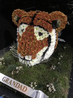 43-3-tiger-by-cheryl-at-faiths-florist-