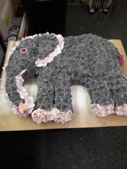 Elephant by Barnabys Florist
