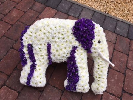 Elephant by Carol Hawkins Flowers