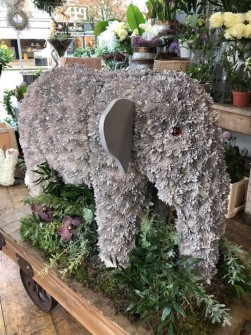 Elephant-by-Chloe-and-Lis-at-Pinks-of-Upminster3