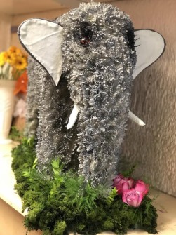 Elephant-by-Christines-Florist-in-Ipswich