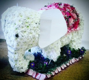 Elephant by Kate at Rock A Rose Florist