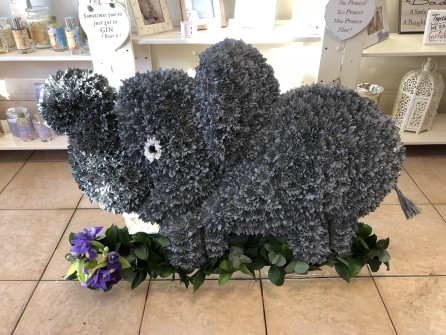 Elephant by Kim at Alexanders Florist