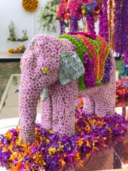 Elephant by Verdure Floral Design 4