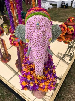 Elephant by Verdure Floral Design