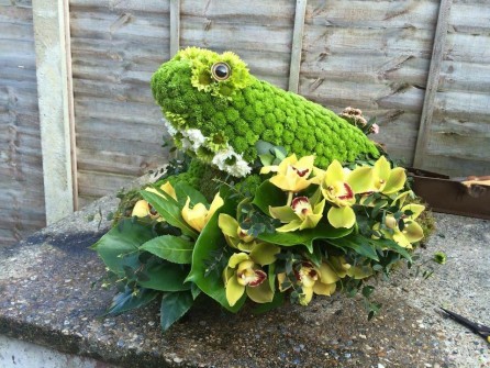 Frog 3D  by Leigh at Harlequin Floristry (2)