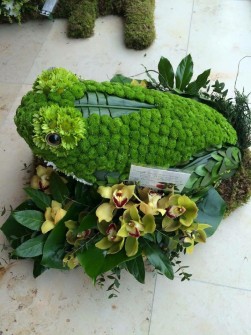 Frog 3D  by Leigh at Harlequin Floristry
