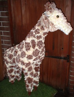 Giraffe by Hollie at Elizabeths The Florist
