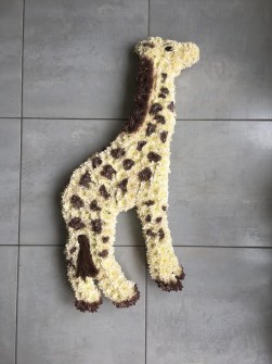 Giraffe by Nikki at The Little Florist Midlands