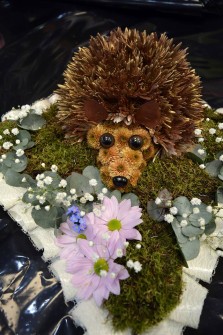 Hedgehog by Colette at Jeanettes Florist