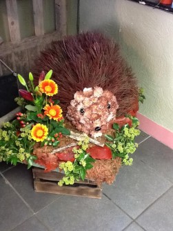 Hedgehogg by Flowerstyle