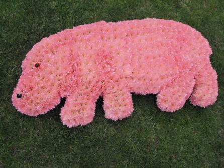 Hippo by Brigs Flowers