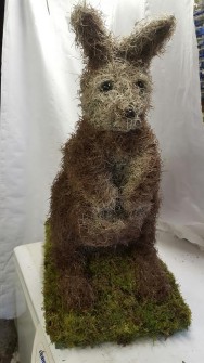 Kangaroo 3D by The Flower Room Tamporley 4