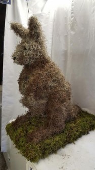 Kangaroo 3D by The Flower Room Tamporley