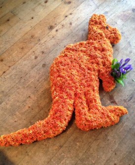 Kangaroo by Olwen Beyond the Gate Florist