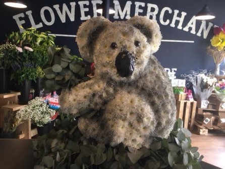Koala Bear 3D by Sally at The Flower Merchant