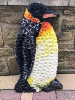 Penguin by Tiger Lily Floral Art