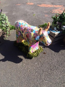 Surrey Cow 3D by Eden Florists