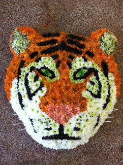 Tiger Face by Harpers Florist of Dudley