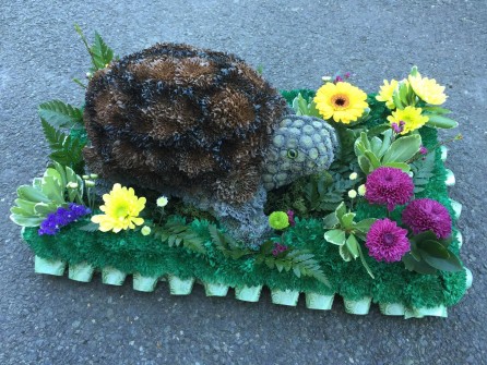 Tortoise 3D Country Blooms Florist Toddington