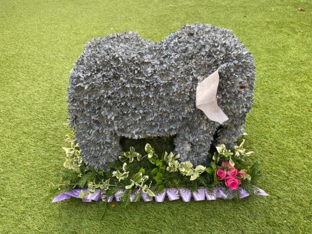 elephant-by-the-flower-girl-events-
