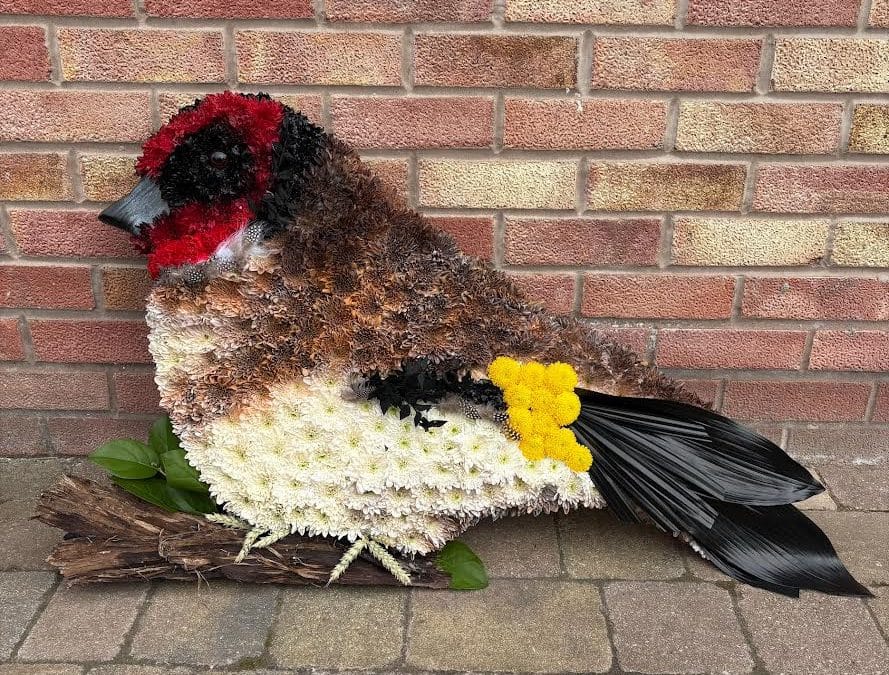 Aimee at Forget Me Not Winsford